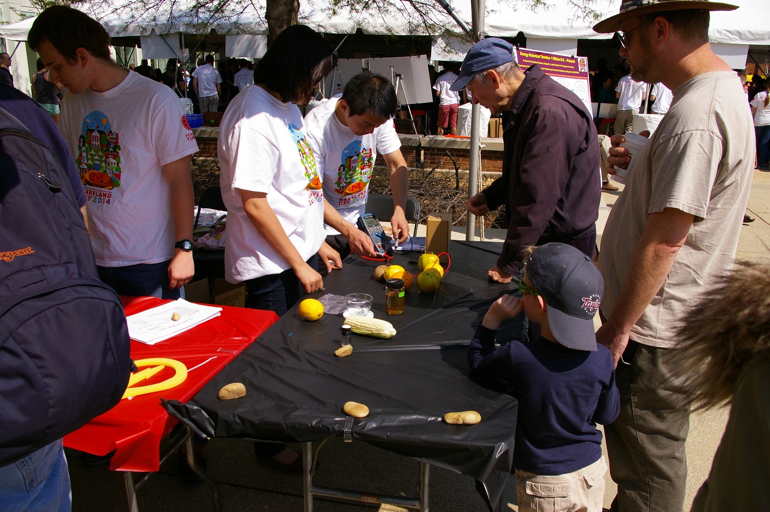 Yiqing and Christina demo fruit battery